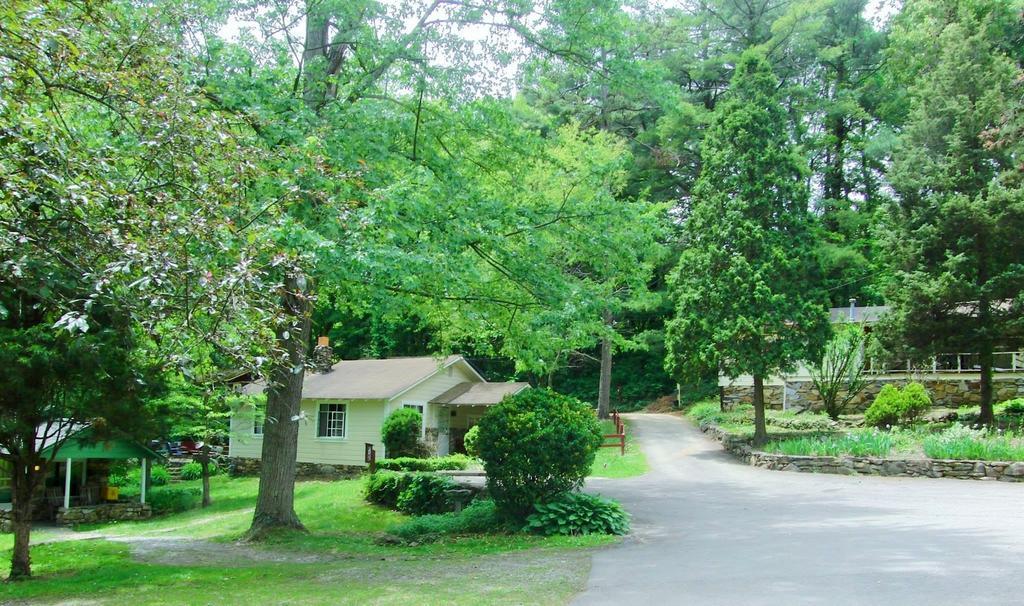 The Pines Cottages Woodfin Bagian luar foto