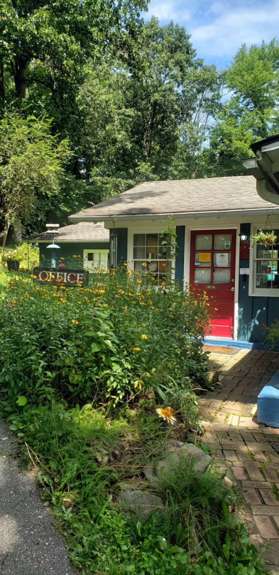 The Pines Cottages Woodfin Bagian luar foto